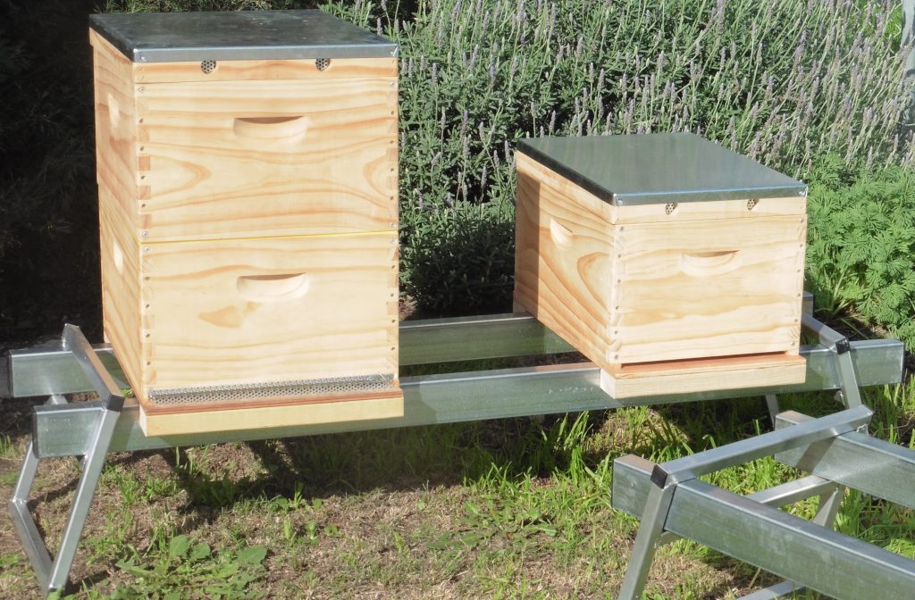 Hive Stand Double Guilfoyle Wa