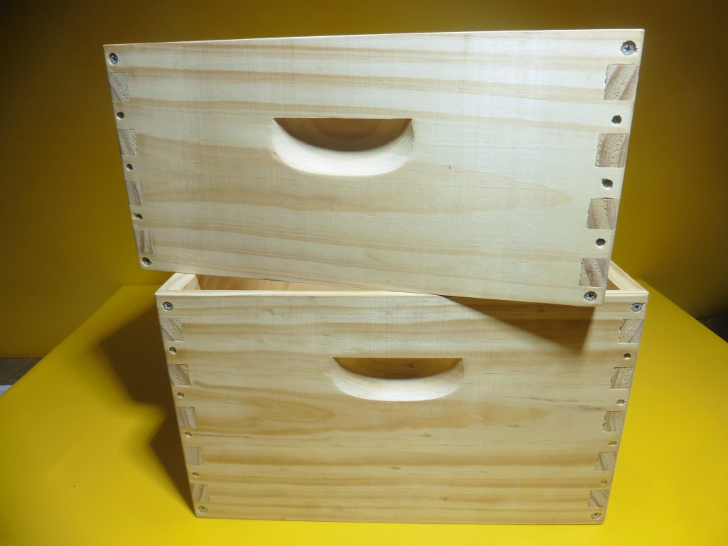 Hive Stand Single Guilfoyle Wa